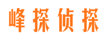 内江市场调查